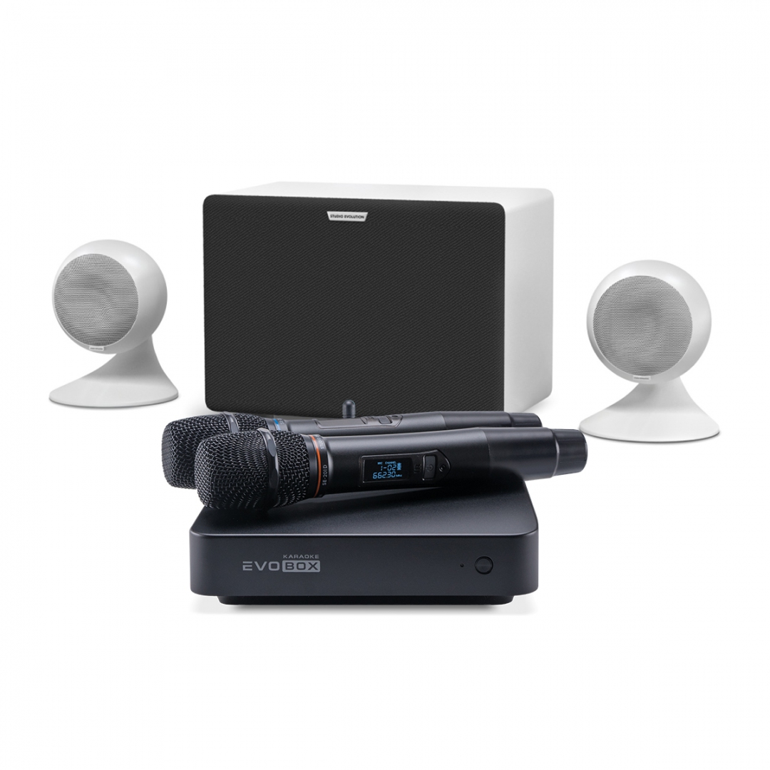 караоке-комплект EVOBOX Classic + EvoSound Sphere 2.1 в Нижнем Тагиле