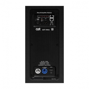 Активная акустическая система AST-310A в Нижнем Тагиле