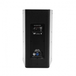 Активная акустическая система AST-310A в Нижнем Тагиле