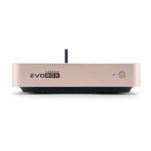 EVOBOX Classic караоке-система для дома в Нижнем Тагиле