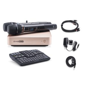 EVOBOX Classic караоке-система для дома в Нижнем Тагиле