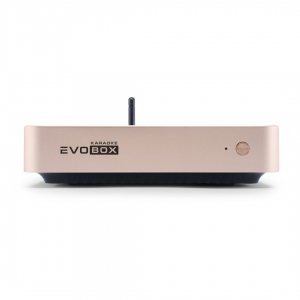 EVOBOX Plus караоке-система для дома в Нижнем Тагиле