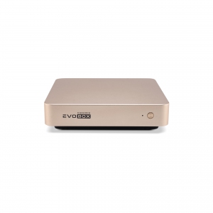 EVOBOX с микрофонами в Нижнем Тагиле